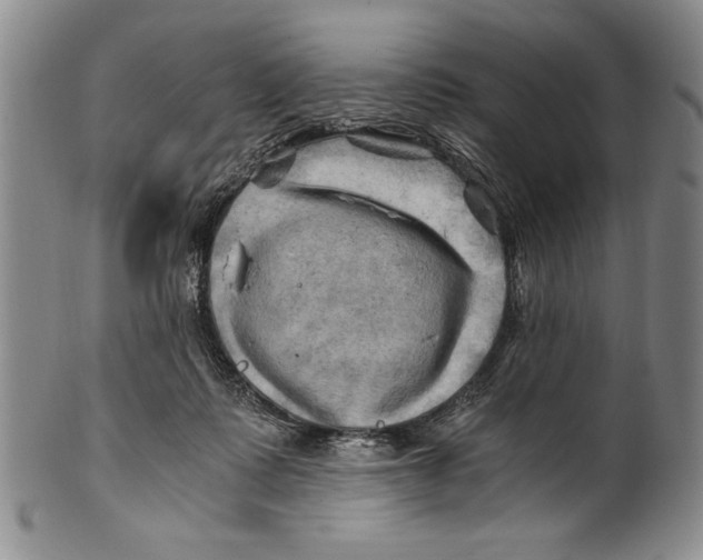 X0000100760315200807171348
