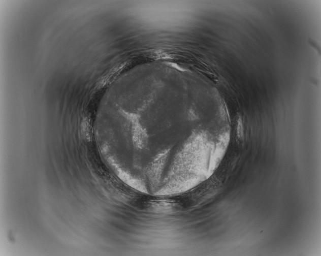 X0000100760316200807171348