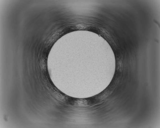 X0000100760317200807171348