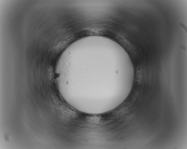 X0000100760318200807171348