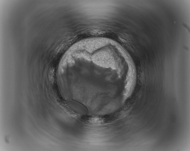 X0000100760319200807171348