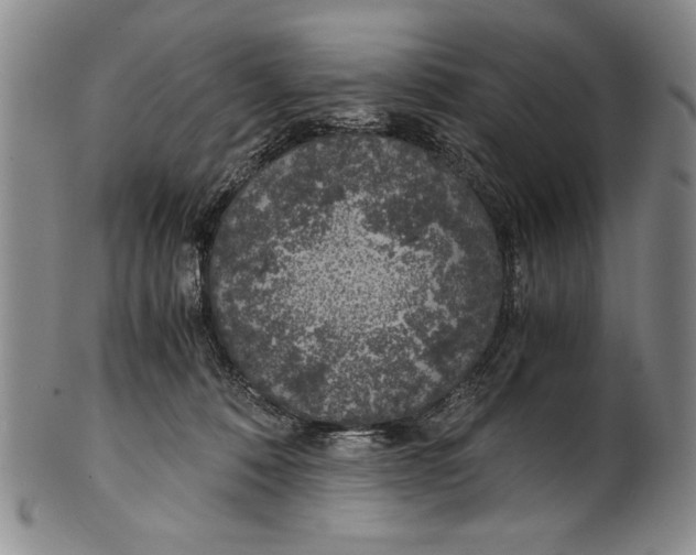 X0000100760320200807171348