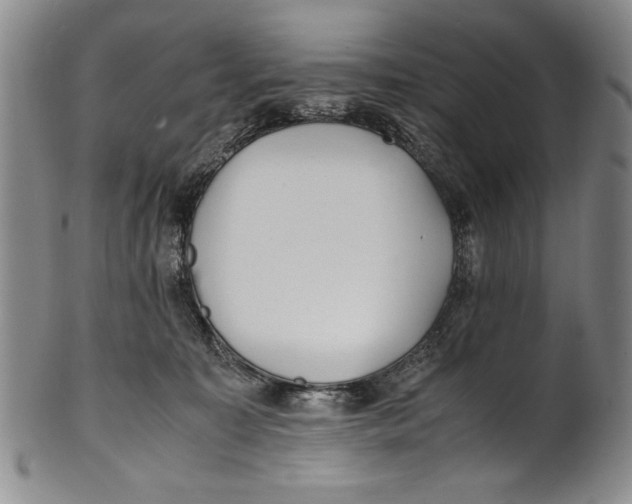 X0000100760323200807171348