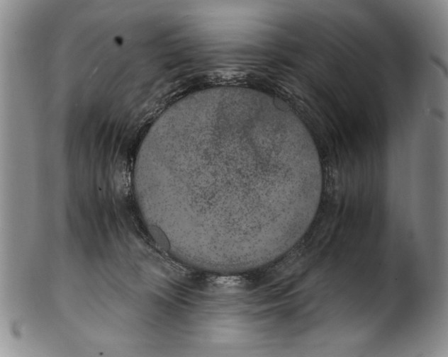 X0000100760324200807171348