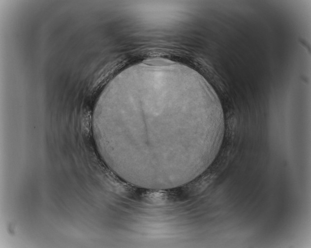 X0000100760325200807171348