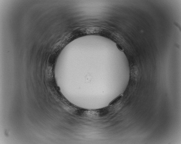X0000100760327200807171348