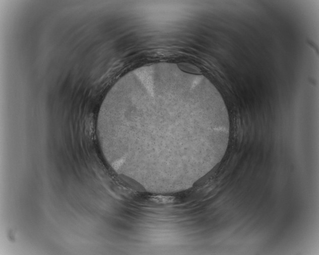 X0000100760328200807171347