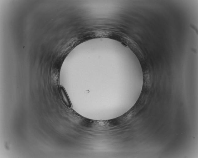 X0000100760329200807171347