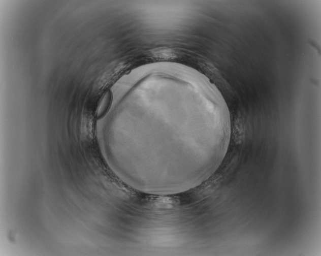 X0000100760330200807171347