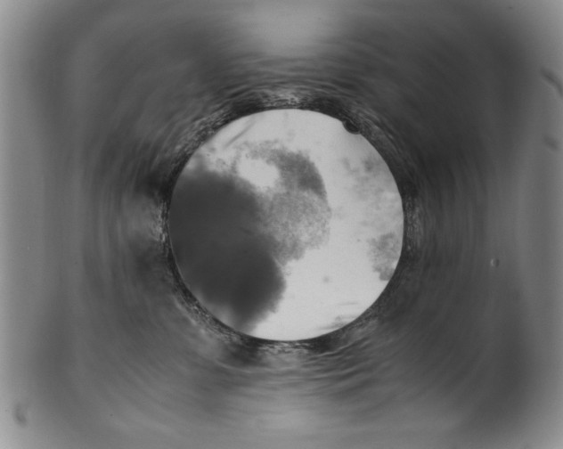 X0000100760331200807171347