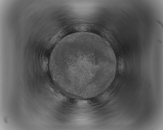 X0000100760332200807171347