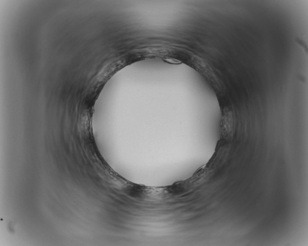 X0000100760333200807171347