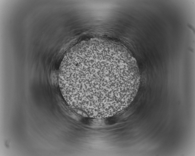 X0000100760335200807171347