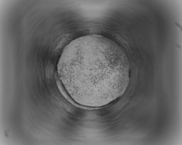 X0000100760336200807171347