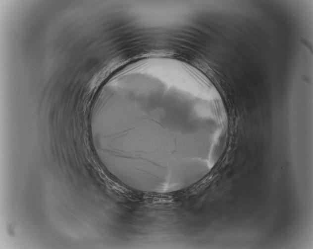 X0000100760337200807171347