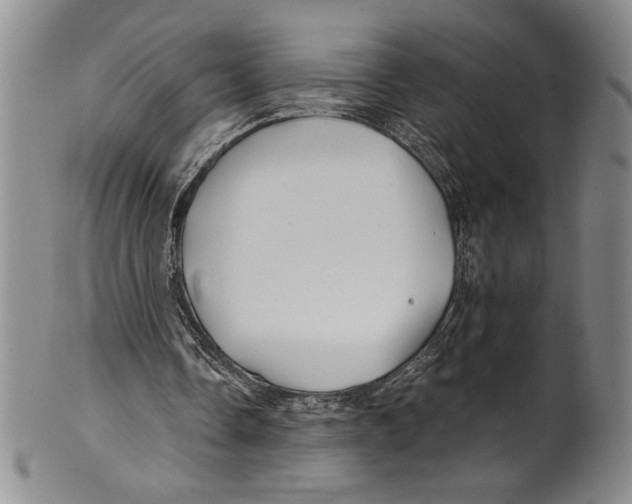 X0000100760338200807171347