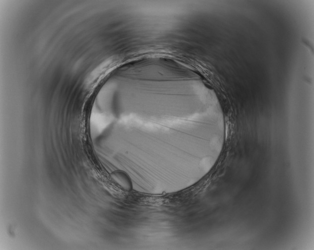 X0000100760339200807171347