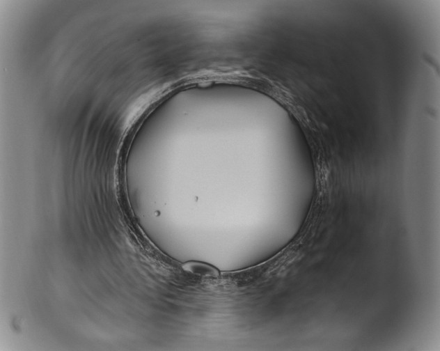X0000100760340200807171347