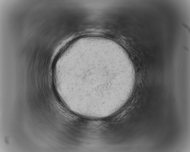 X0000100760342200807171347