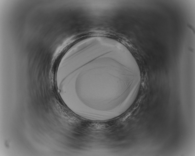 X0000100760343200807171347