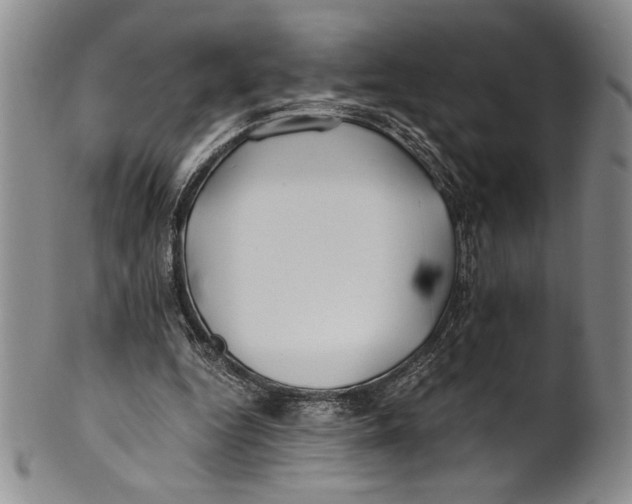 X0000100760344200807171347