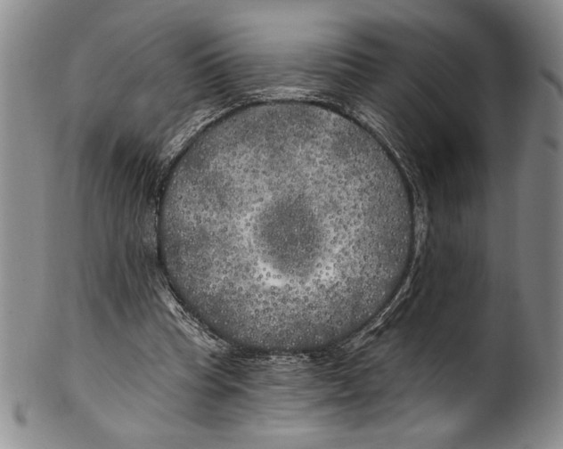 X0000100760345200807171347