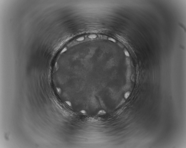 X0000100760346200807171347