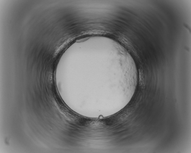 X0000100760348200807171347