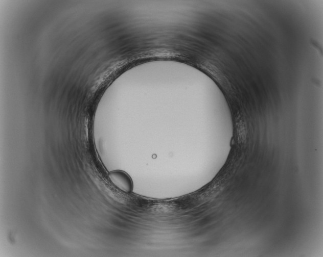 X0000100760350200807171347