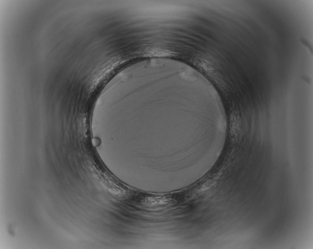 X0000100760351200807171347