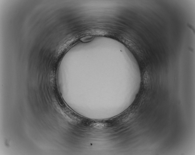 X0000100760352200807171347