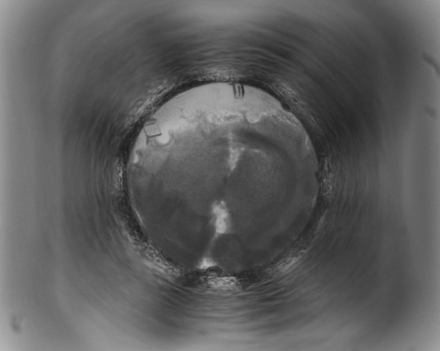 X0000100760355200807171347