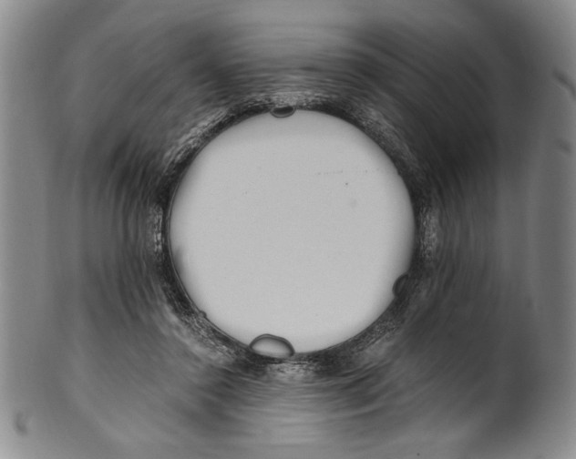 X0000100760356200807171347