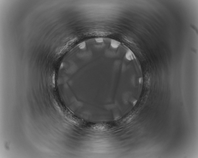 X0000100760358200807171347