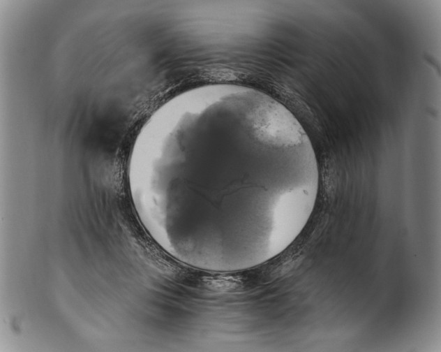 X0000100760359200807171347