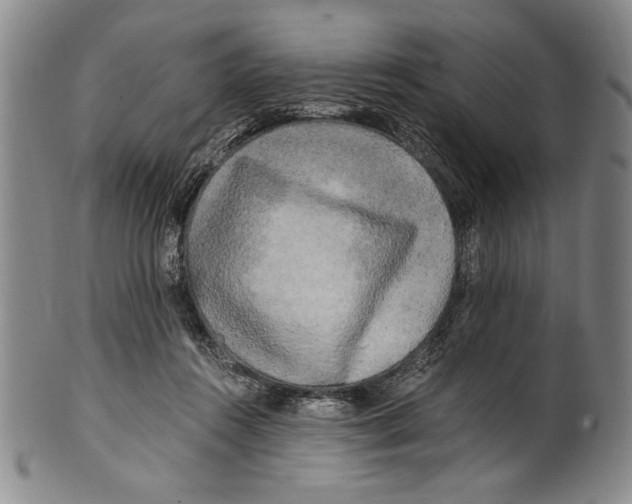 X0000100760360200807171347
