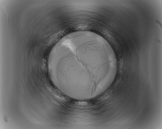 X0000100760361200807171347