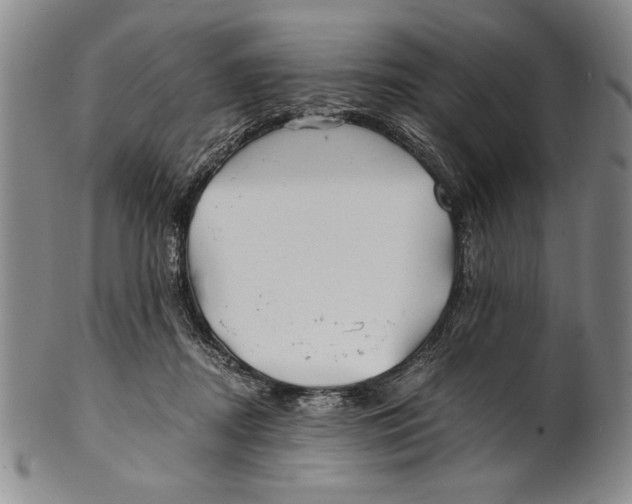 X0000100760362200807171347