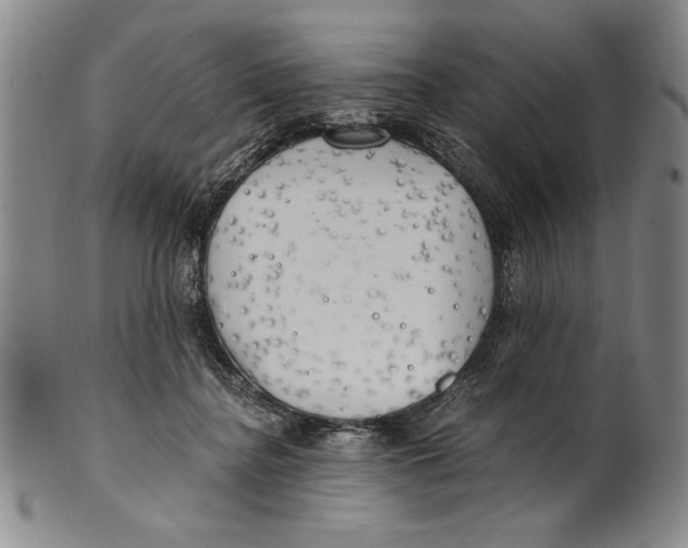 X0000100760364200807171347