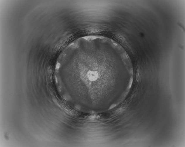 X0000100760366200807171347