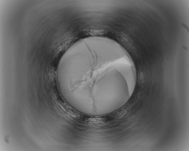 X0000100760367200807171347