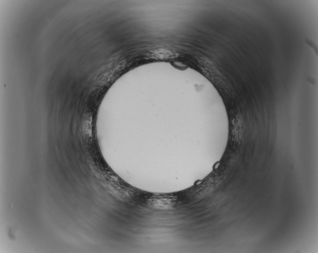 X0000100760368200807171347