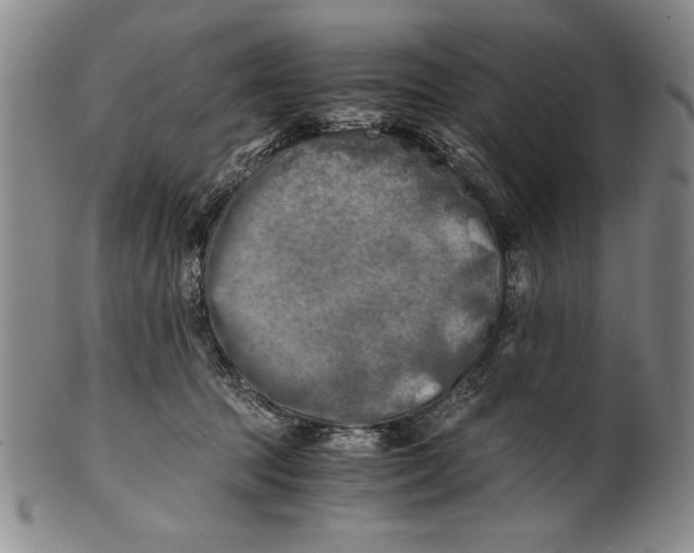 X0000100760369200807171347