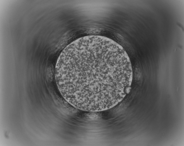X0000100760370200807171347