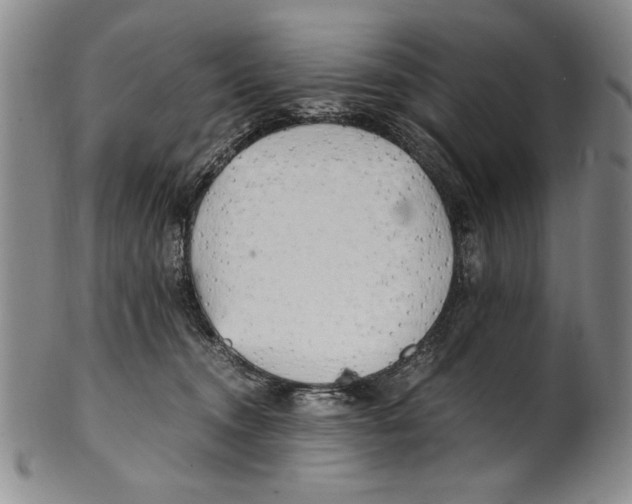X0000100760372200807171347