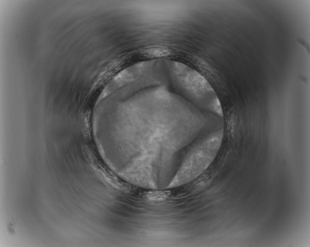 X0000100760373200807171347