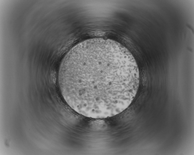 X0000100760374200807171347