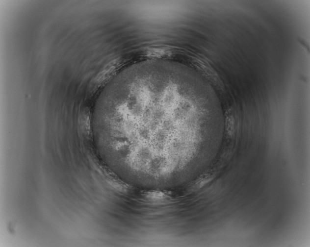 X0000100760375200807171347