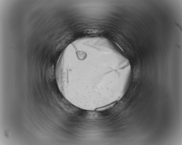 X0000100760376200807171347