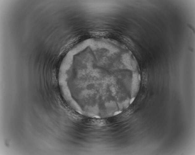 X0000100760377200807171347